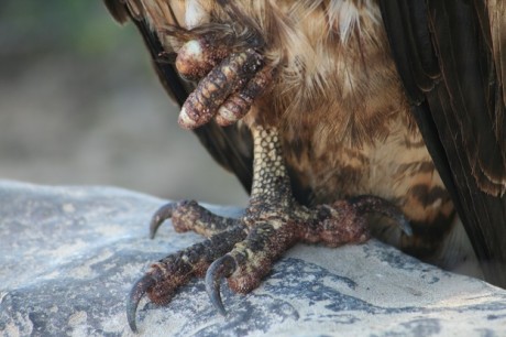 Santa Fe-druhý den plavby 043